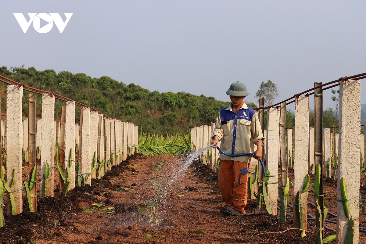 Nông dân Sơn La ứng phó với khô hạn bằng công nghệ tưới nước tiết kiệm